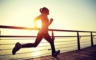 大連房產(chǎn)資訊關(guān)聯(lián)播 | 健身休閑活動引領(lǐng)都市健康生活新風(fēng)尚