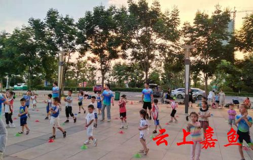 嘉魚市民休閑新風(fēng)尚 健身運(yùn)動與場地設(shè)施經(jīng)營共贏